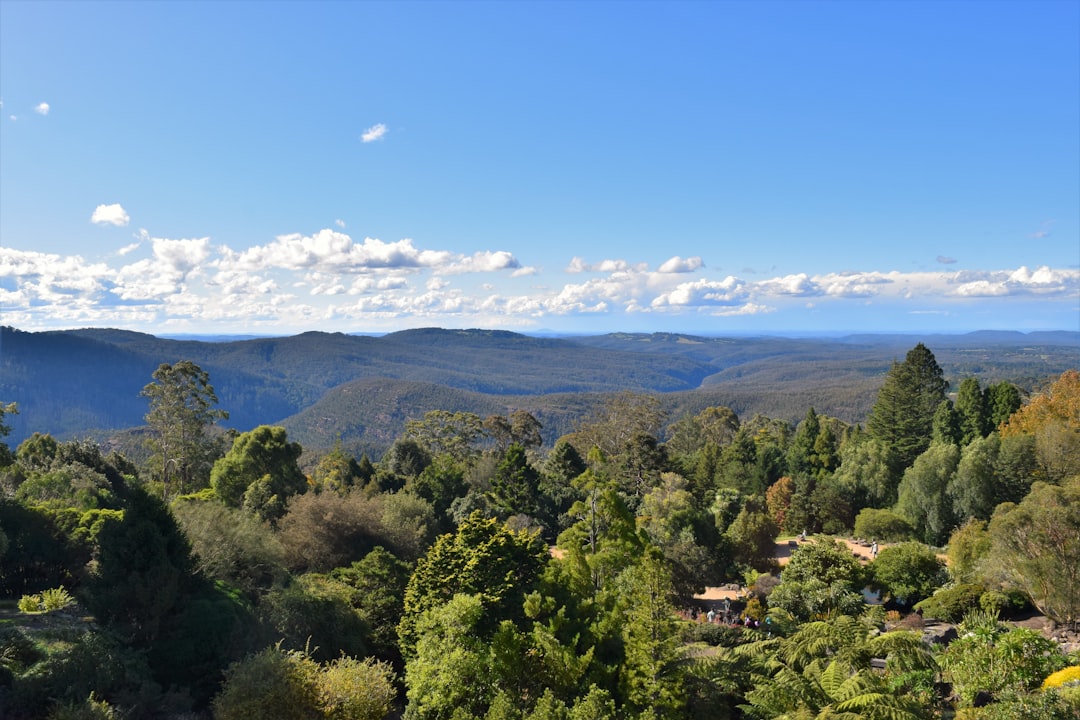 Blue Mountains glamping retreat vs five-star hotel accommodation