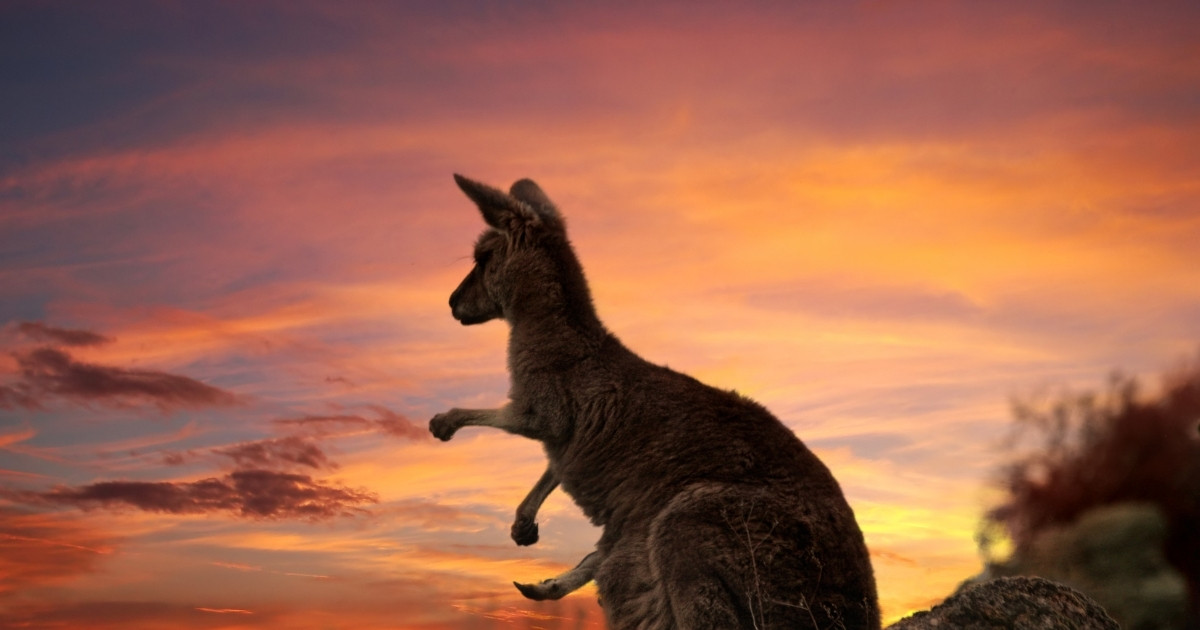 Best value Australian staycation destinations